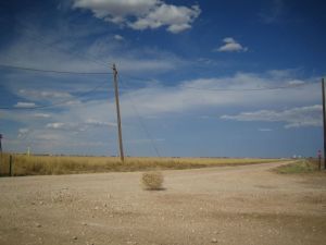 Artistic representation of the state of my love life. What? No, I don't fuck tumbleweeds. It's a metaphor for desolation and desertion. Sheesh.